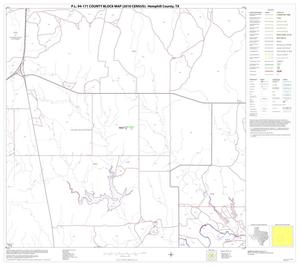 P.L. 94-171 County Block Map (2010 Census): Hemphill County, Block 10