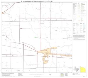 P.L. 94-171 County Block Map (2010 Census): Grayson County, Block 13
