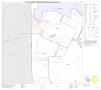 Map: P.L. 94-171 County Block Map (2010 Census): Bexar County, Block 21