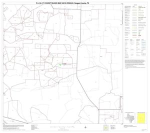 Primary view of object titled 'P.L. 94-171 County Block Map (2010 Census): Reagan County, Block 8'.