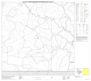 Primary view of object titled 'P.L. 94-171 County Block Map (2010 Census): Hall County, Block 14'.