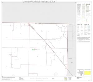 Primary view of object titled 'P.L. 94-171 County Block Map (2010 Census): Dallam County, Block 6'.