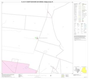 Primary view of object titled 'P.L. 94-171 County Block Map (2010 Census): Hidalgo County, Block 19'.