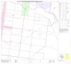 Primary view of P.L. 94-171 County Block Map (2010 Census): Hidalgo County, Block 107