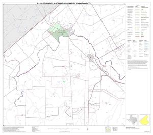 Primary view of object titled 'P.L. 94-171 County Block Map (2010 Census): Karnes County, Block 9'.