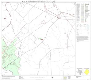 P.L. 94-171 County Block Map (2010 Census): Bastrop County, Block 13