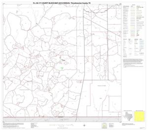 Primary view of object titled 'P.L. 94-171 County Block Map (2010 Census): Throckmorton County, Block 8'.