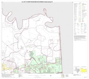 Primary view of object titled 'P.L. 94-171 County Block Map (2010 Census): Bowie County, Block 8'.
