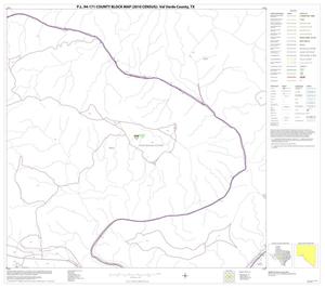 P.L. 94-171 County Block Map (2010 Census): Val Verde County, Block 44