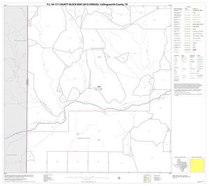 Primary view of object titled 'P.L. 94-171 County Block Map (2010 Census): Collingsworth County, Block 5'.