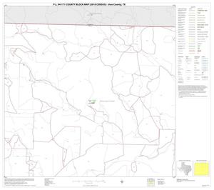 Primary view of object titled 'P.L. 94-171 County Block Map (2010 Census): Irion County, Block 3'.