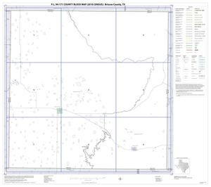 Primary view of object titled 'P.L. 94-171 County Block Map (2010 Census): Briscoe County, Index'.