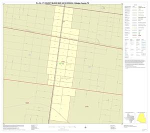 P.L. 94-171 County Block Map (2010 Census): Hidalgo County, Inset N01