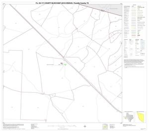 P.L. 94-171 County Block Map (2010 Census): Presidio County, Block 13