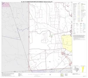 P.L. 94-171 County Block Map (2010 Census): Newton County, Block 10