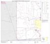 Primary view of P.L. 94-171 County Block Map (2010 Census): Newton County, Block 10