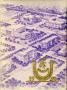 Thumbnail image of item number 1 in: 'The Bronco, Yearbook of Hardin-Simmons University, 1946'.