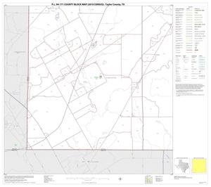 P.L. 94-171 County Block Map (2010 Census): Taylor County, Block 13