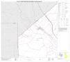 Map: P.L. 94-171 County Block Map (2010 Census): Live Oak County, Block 3
