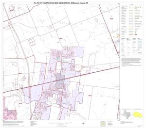 Primary view of object titled 'P.L. 94-171 County Block Map (2010 Census): Williamson County, Block 25'.