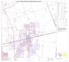 Thumbnail image of item number 1 in: 'P.L. 94-171 County Block Map (2010 Census): Williamson County, Block 25'.