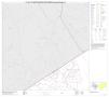Thumbnail image of item number 1 in: 'P.L. 94-171 County Block Map (2010 Census): Somervell County, Block 1'.