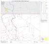 Thumbnail image of item number 1 in: 'P.L. 94-171 County Block Map (2010 Census): Dimmit County, Block 3'.