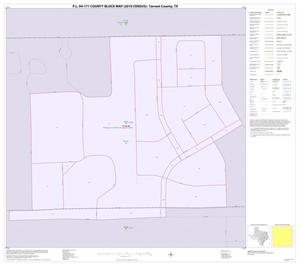 P.L. 94-171 County Block Map (2010 Census): Tarrant County, Inset W01