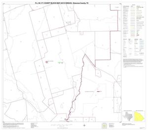 P.L. 94-171 County Block Map (2010 Census): Atascosa County, Block 20
