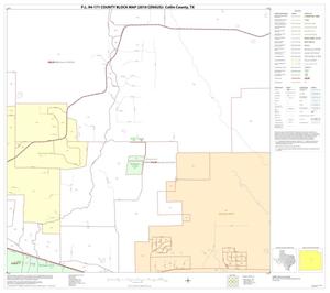 P.L. 94-171 County Block Map (2010 Census): Collin County, Block 45