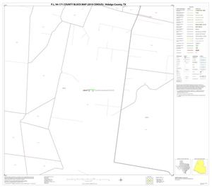 P.L. 94-171 County Block Map (2010 Census): Hidalgo County, Block 23