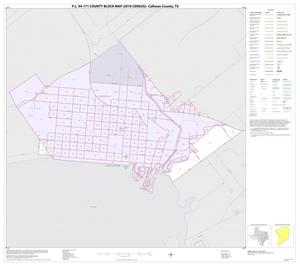 P.L. 94-171 County Block Map (2010 Census): Calhoun County, Inset C01