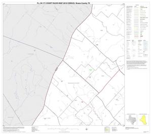 P.L. 94-171 County Block Map (2010 Census): Brazos County, Block 3