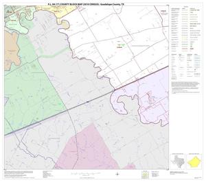 P.L. 94-171 County Block Map (2010 Census): Guadalupe County, Block 14