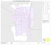 Map: P.L. 94-171 County Block Map (2010 Census): Irion County, Inset A01
