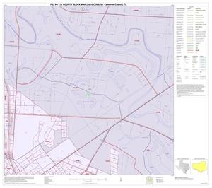 P.L. 94-171 County Block Map (2010 Census): Cameron County, Inset V02
