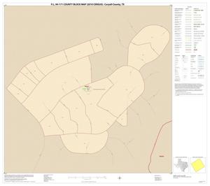 P.L. 94-171 County Block Map (2010 Census): Coryell County, Inset J01