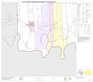 P.L. 94-171 County Block Map (2010 Census): Cameron County, Block 40