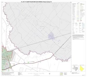 P.L. 94-171 County Block Map (2010 Census): Reeves County, Block 19