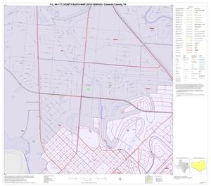 P.L. 94-171 County Block Map (2010 Census): Cameron County, Inset V01