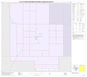 P.L. 94-171 County Block Map (2010 Census): Collingsworth County, Inset B01