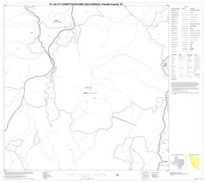 P.L. 94-171 County Block Map (2010 Census): Presidio County, Block 48
