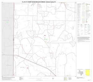 P.L. 94-171 County Block Map (2010 Census): Coleman County, Block 5