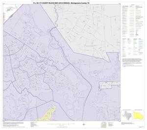 Primary view of object titled 'P.L. 94-171 County Block Map (2010 Census): Montgomery County, Block 49'.