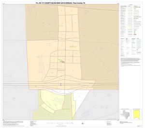 P.L. 94-171 County Block Map (2010 Census): Titus County, Inset C01