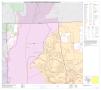Primary view of P.L. 94-171 County Block Map (2010 Census): Rockwall County, Block 1