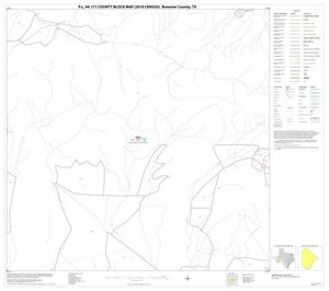 P.L. 94-171 County Block Map (2010 Census): Brewster County, Block 49