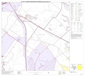 P.L. 94-171 County Block Map (2010 Census): Bexar County, Block 53