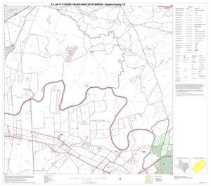 P.L. 94-171 County Block Map (2010 Census): Fayette County, Block 6