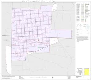 Primary view of P.L. 94-171 County Block Map (2010 Census): Reagan County, Inset A01